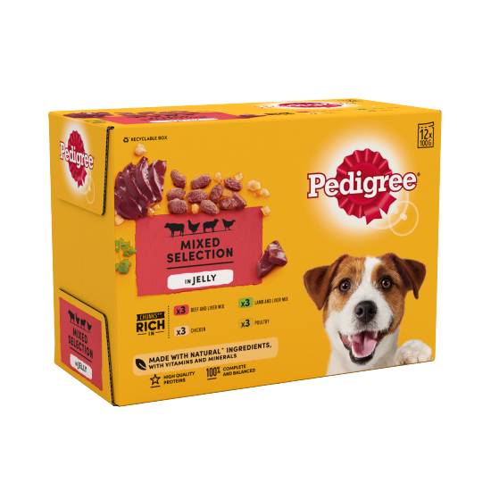 Pedigree Adult Wet Dog Food Pouches Mixed in Jelly 12 X 100g