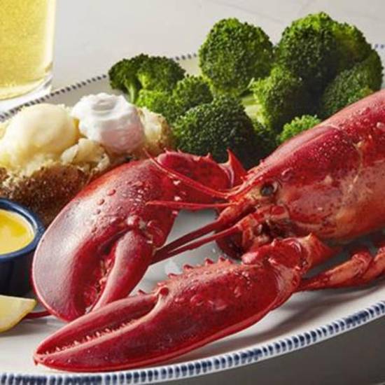 Live Maine Lobster (1.25 lb.)