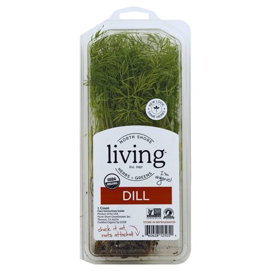 North Shore Living Organic Dill (1 ct)