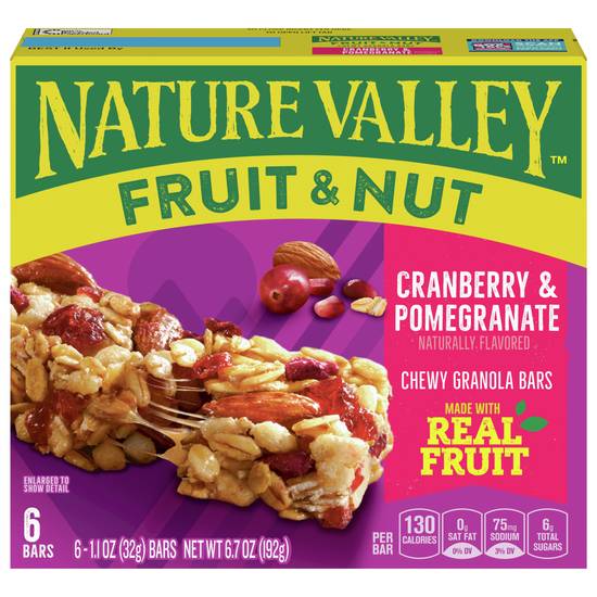 Nature Valley Fruit & Nut Chewy Trail Mix Granola Bars (6 x 1.1 oz)