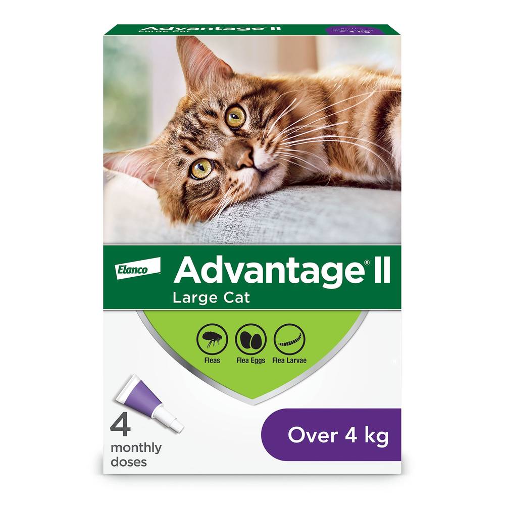 Advantage® II Large Cat Once-A-Month Topical Flea Treatment - Over 4 kg (Size: 4 Count)