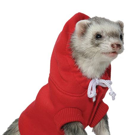 Marshall Pet Products Ferret Sweatshirt