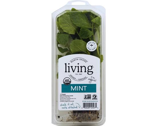 Order North Shore · Living Organic Mint (1 ct) food online from Safeway store, Eureka on bringmethat.com