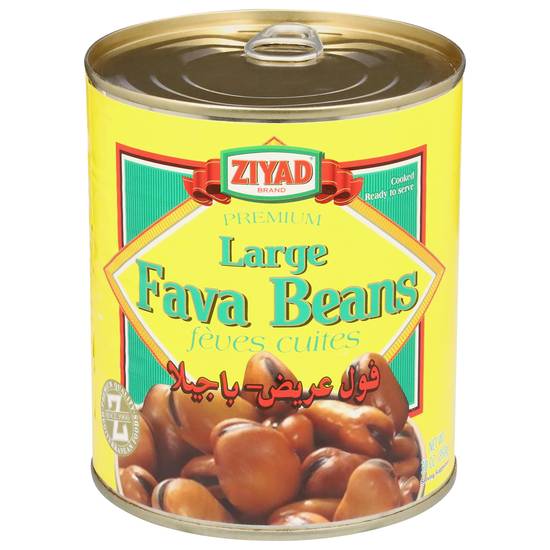 Ziyad Large Fava Beans (30 oz)