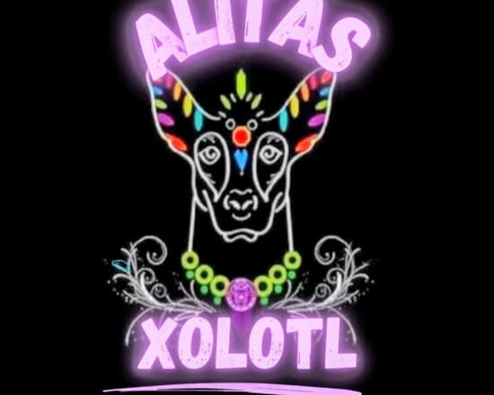 ALITAS XOLOTL (Calle 16 162)