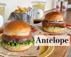 ANTELOPE
