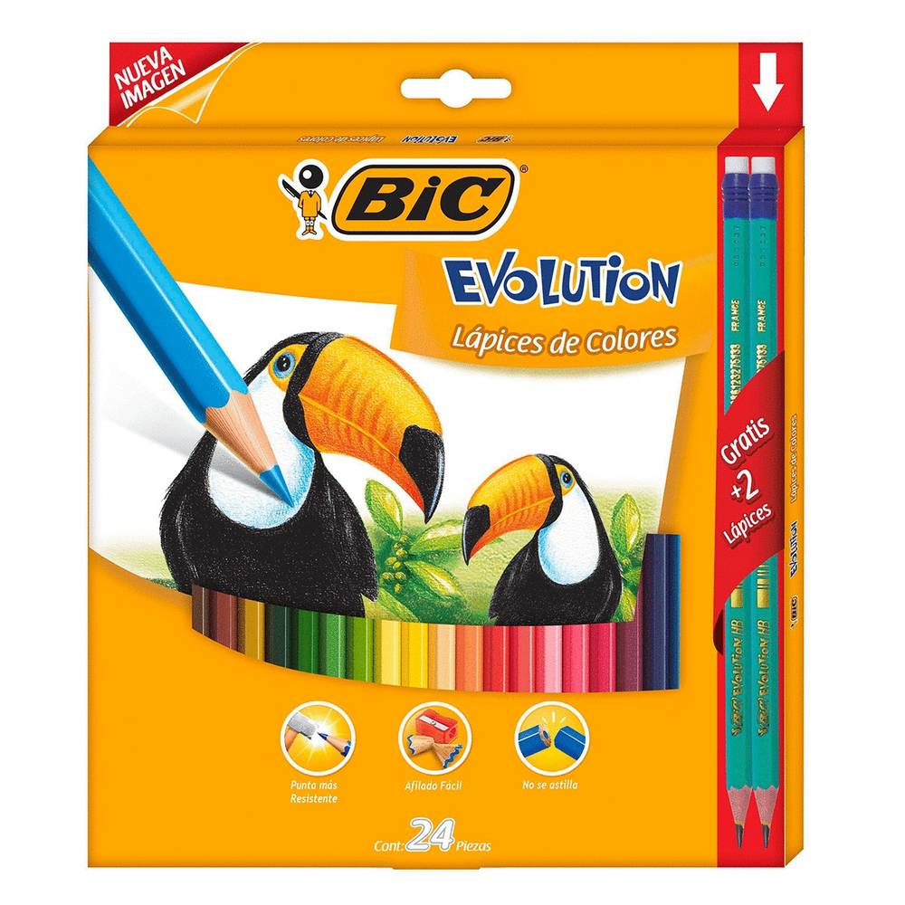 Bic lápices de colores hexagonales evolution (24 piezas)