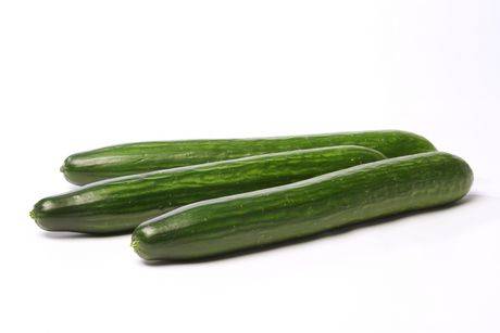 Cucumber, Seedless