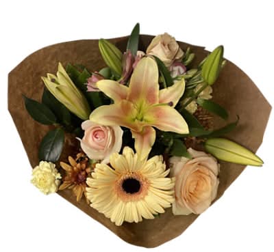 Bright Seasons (2.18 lbs)