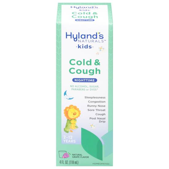 Hyland's Nighttime Grape Flavor Naturals Kids Cold & Cough Syrup For Age 2+