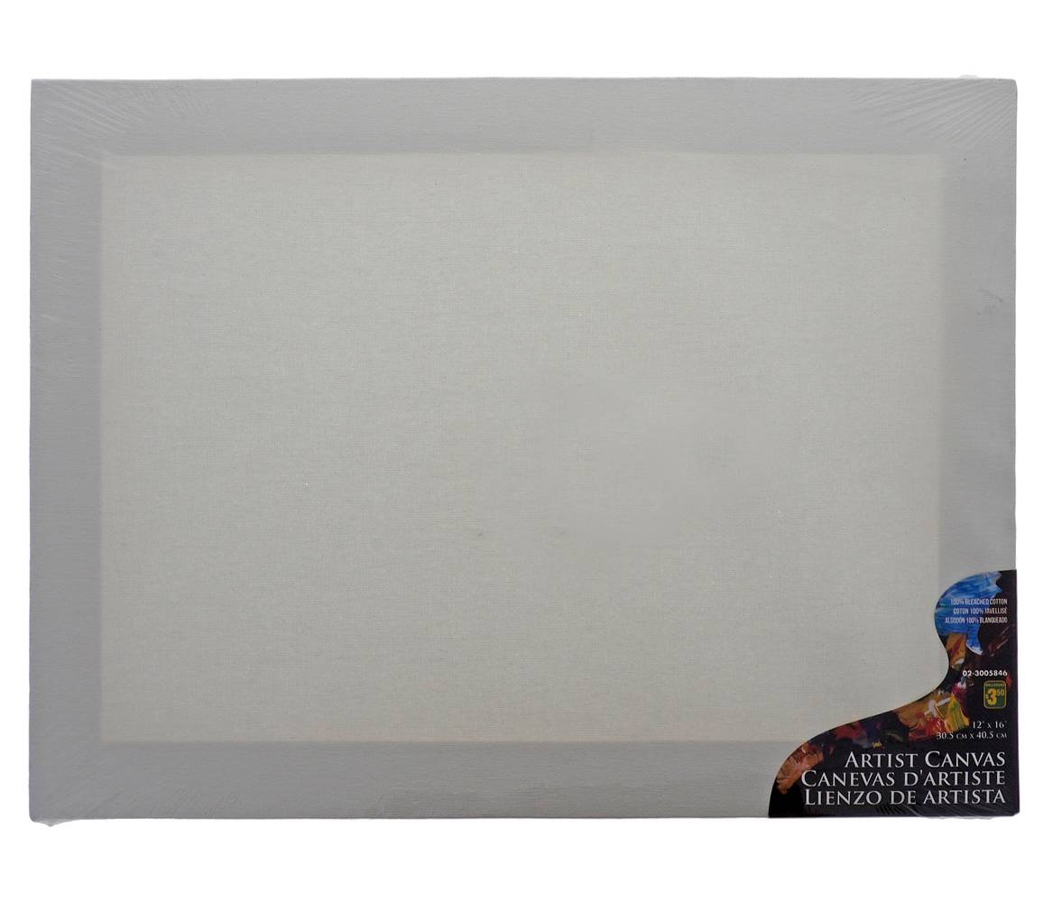 Dollarama Wood Framed Artist Canvas, 12" x 16"