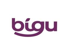 Bigu (Vitacura)