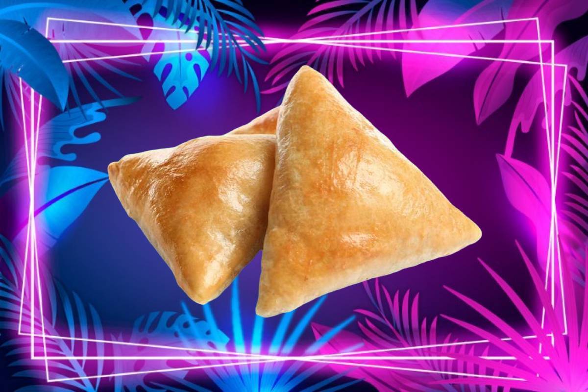 Fries / Samoussa (x4)