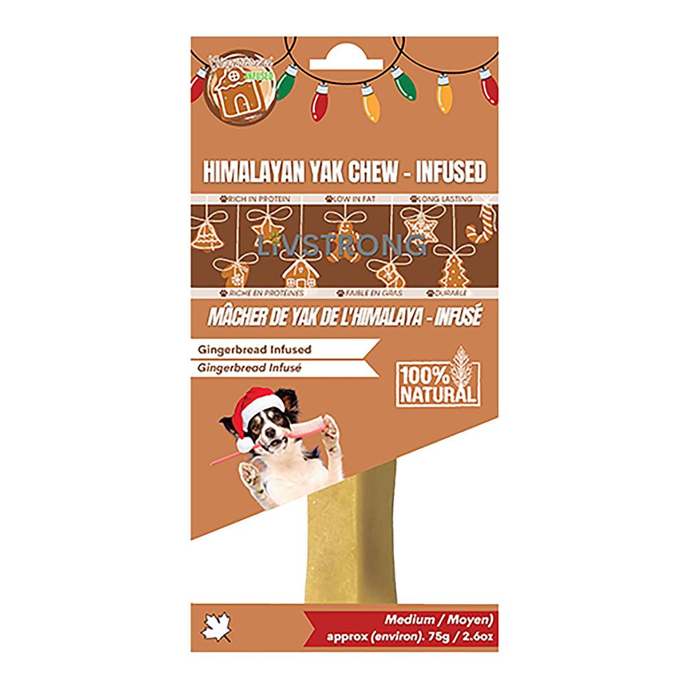 LivStrong Gingerbread Yak Dog Chew Delivery Near Me | Order Online ...