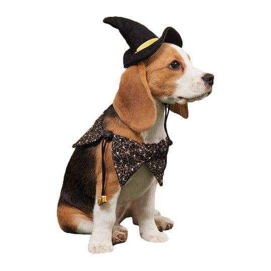 Assorted Halloween Witch Hat & Collar Dog Costume, 1Pc. By Ashland