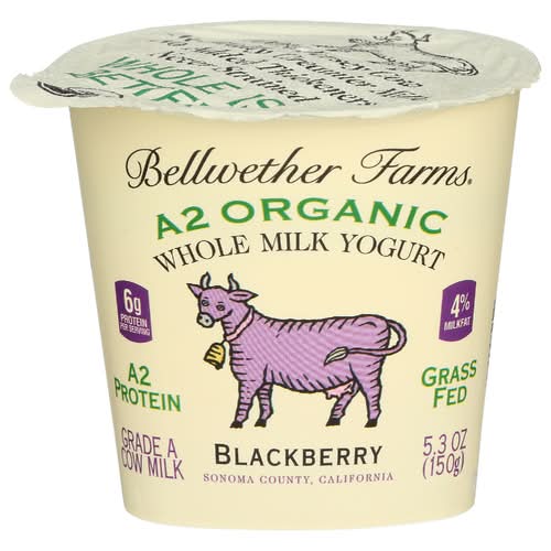 Bellwether Farms Organic A2 Blackberry Whole Milk Yogurt