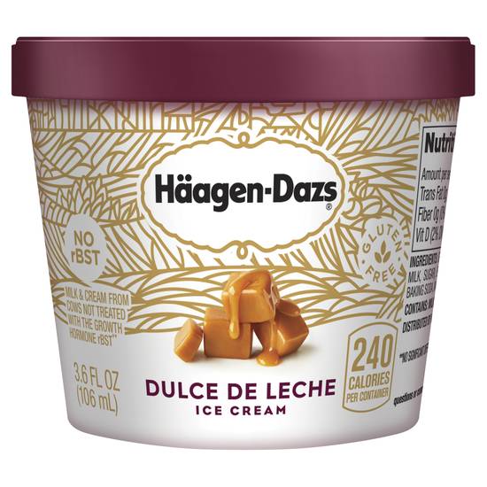 Häagen-Dazs Dulce De Leche Ice Cream
