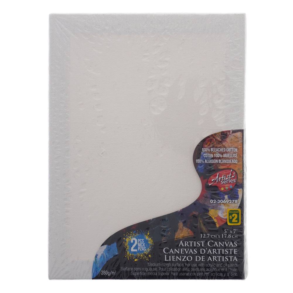 Framed Artist Canvas, 2 Pack