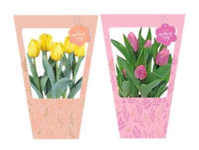 6 Inch Tulip Blooming Plant In Gift Bag - Each