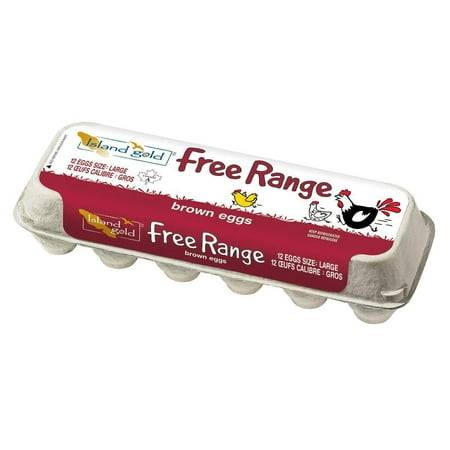 Island Gold Free Range Brown Eggs, Large (12 ct)