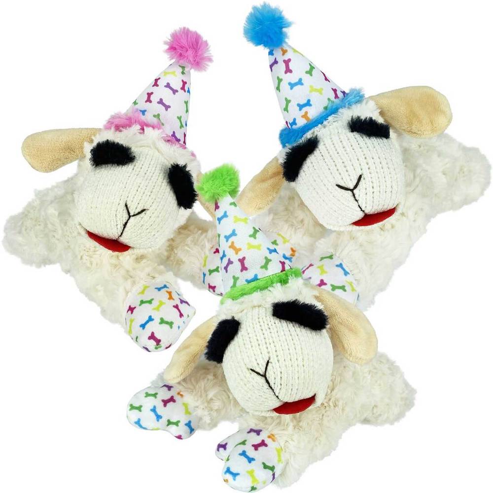 Multipet Lamb Chop Birthday Dog Toy, Medium, Assorted (3 ct)