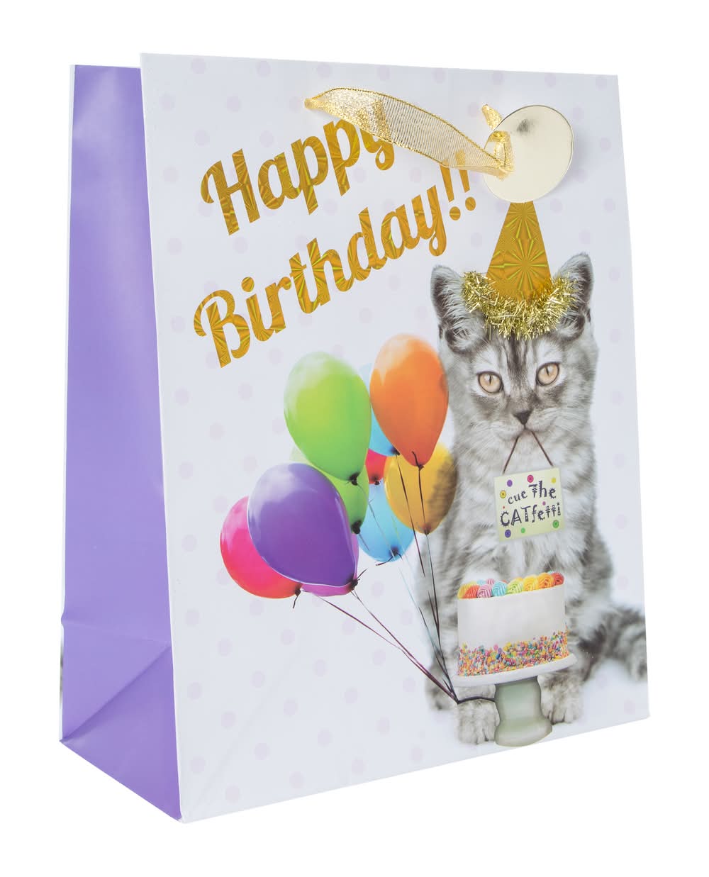 Large Printed Gift Bag 10.375in x 12.75in Cat