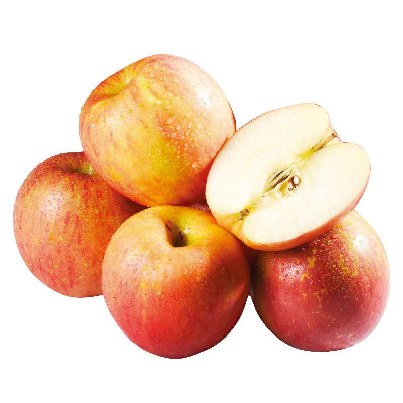 紐西蘭富士蘋果#90 4入(每粒約180-200克) <1PC粒 x 1 x 4PC粒> @22#2422120135024