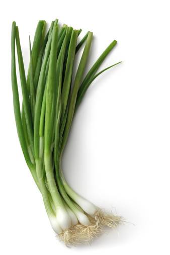 Onions Green Org