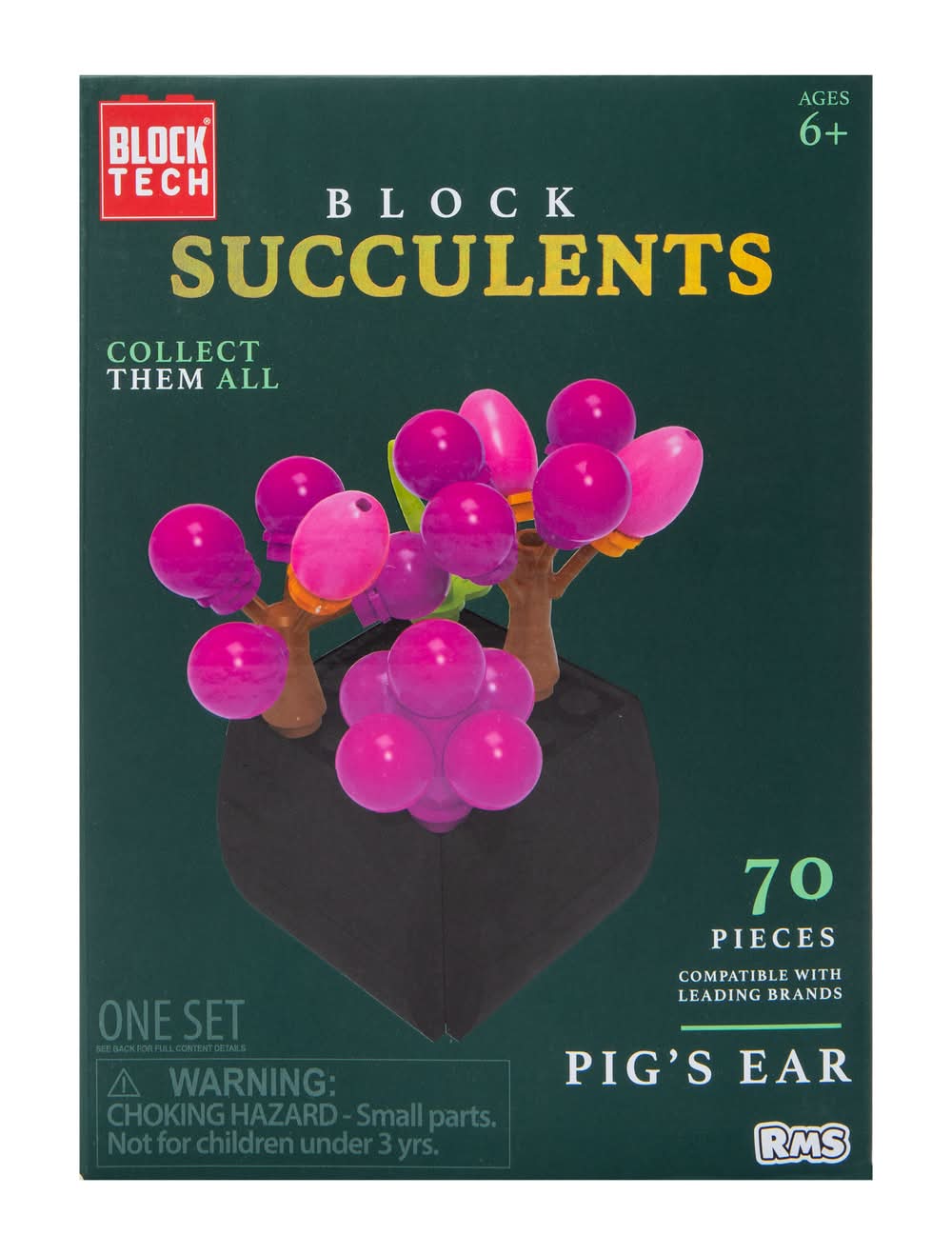 Block Tech® Succulents Block Set Pig Ear