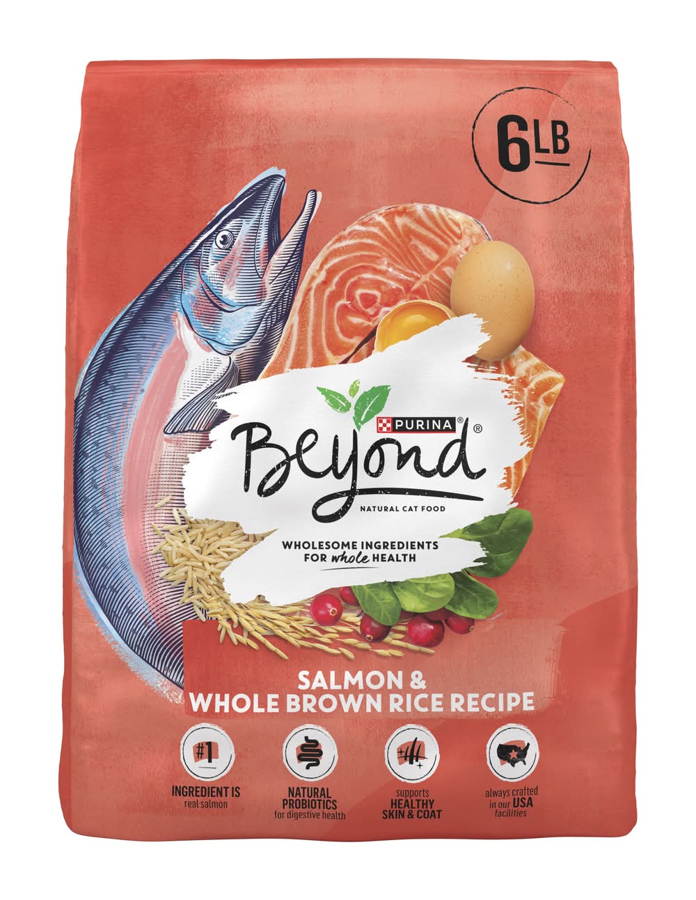 Beyond Natural Salmon & Whole Brown Rice Recipe Dry Cat Food (6 lbs)