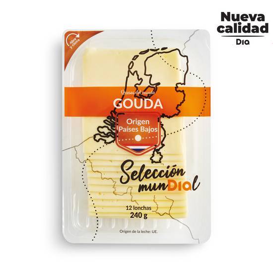 DIA SELECCIÓN MUNDIAL queso gouda en lonchas sobre 240 gr