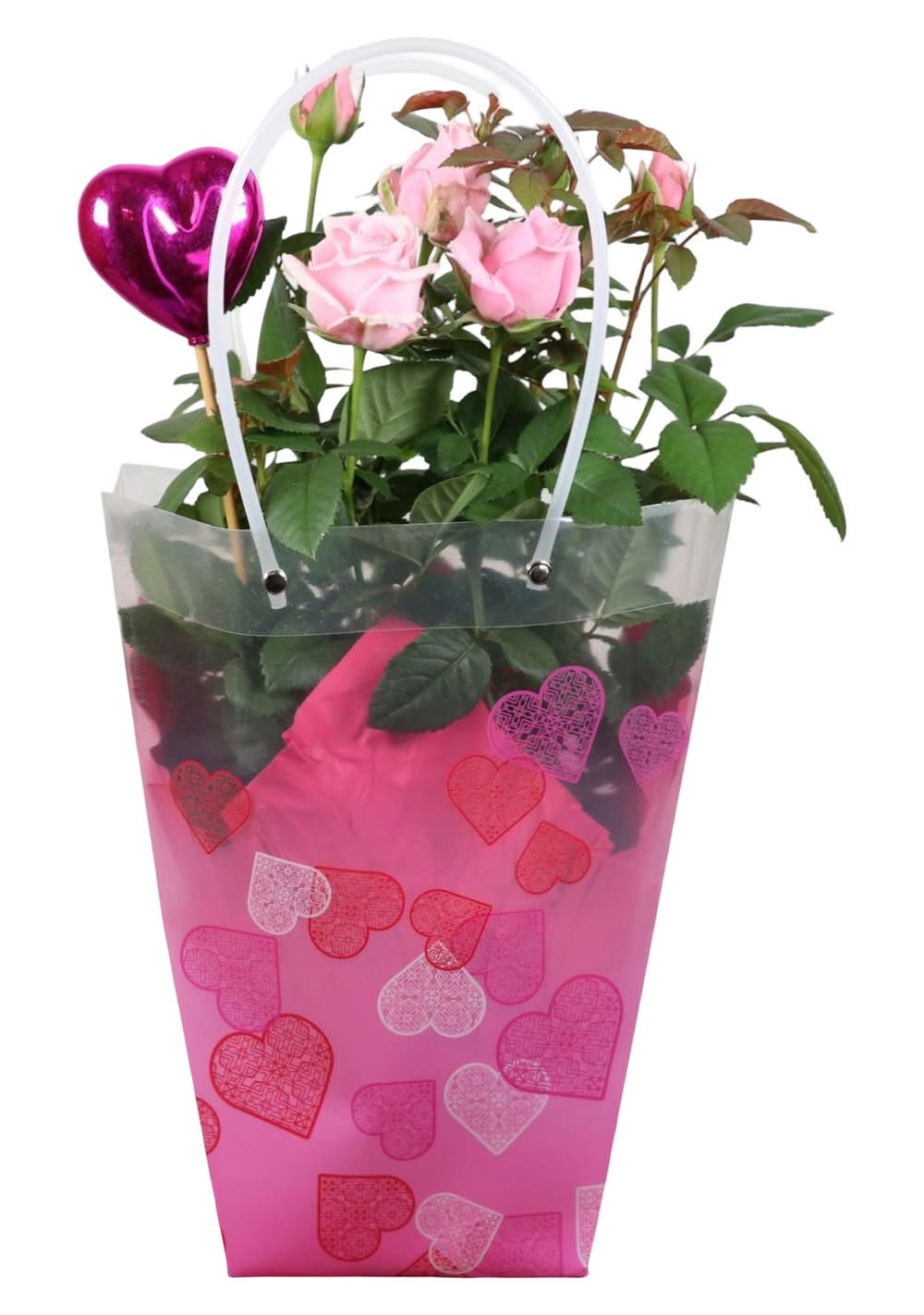 Fresh Cut Flower Roses Bouquet in Bag, 6 in
