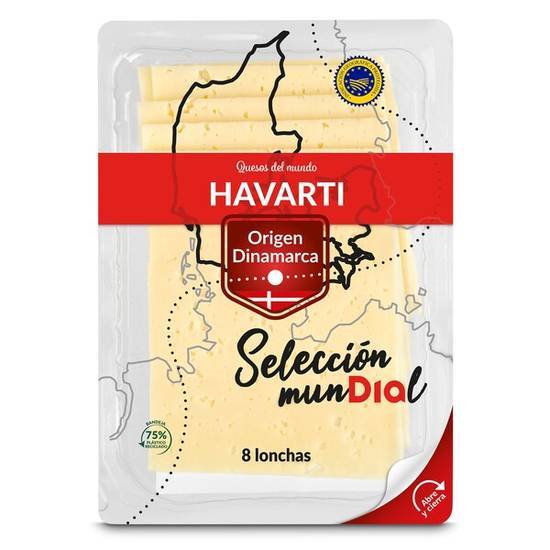 Queso Havarti Selección MunDíal de Día en Sobre (160 g)