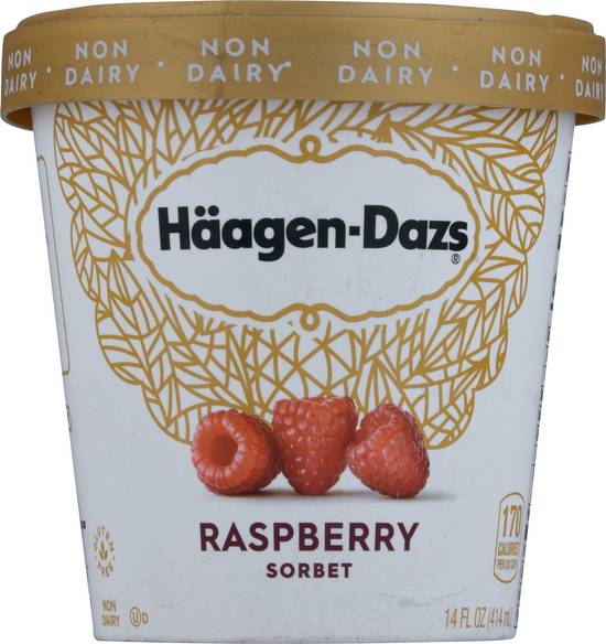 Häagen-Dazs Gluten Free Raspberry Sorbet Ice Cream