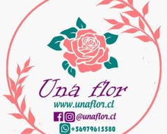 Una Flor (La Florida)