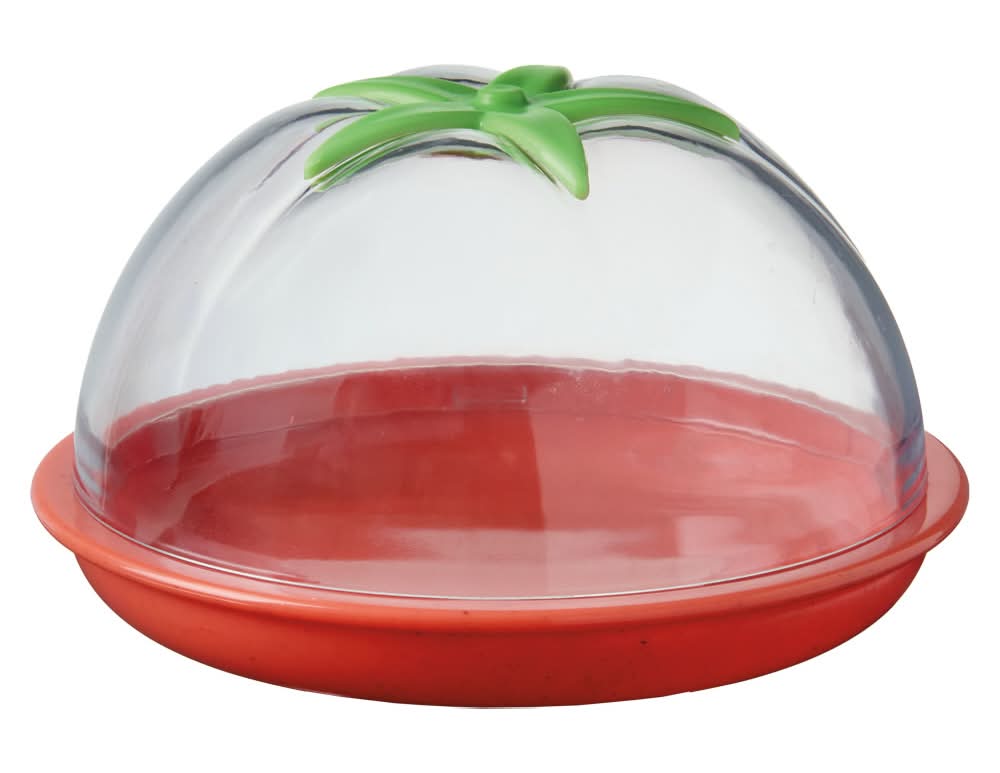 Crofton Tomato Pod