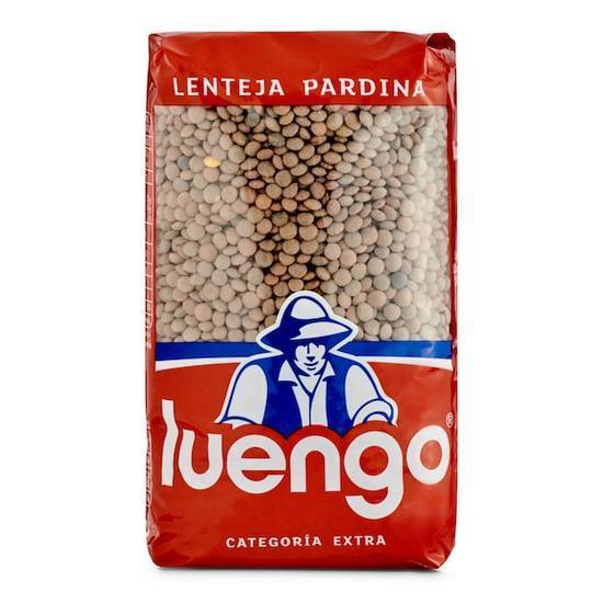 Lenteja pardina Luengo bolsa 500 g