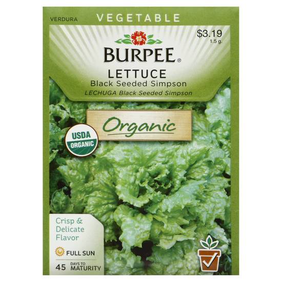 Burpee Lettuce Black Seeded Simpson (1.5 g)