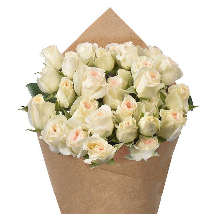 Spray Roses - White