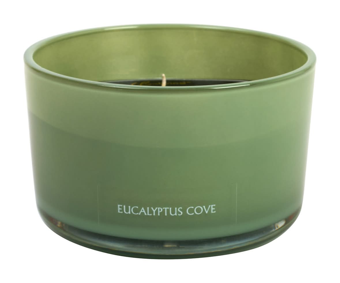 True Living Eucalyptus Cove 3 Wick Candle, Assorted (13 oz)