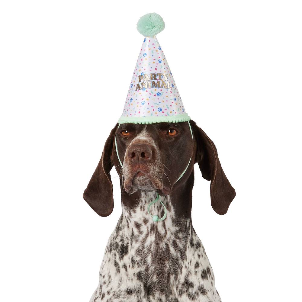 Blended Clothing Collection Party Dog Hat (Color: Multi Color, Size: One Size)