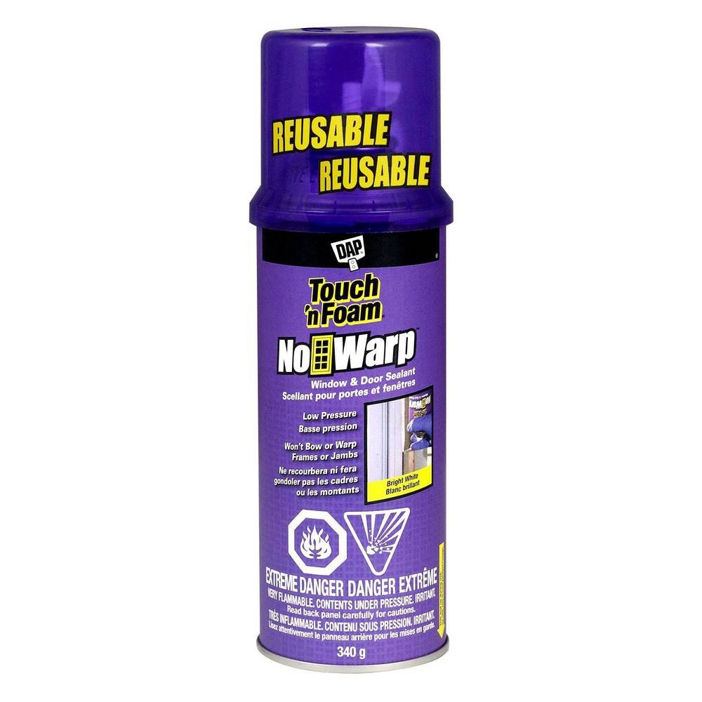 DAP Touch 'N Foam No Warp Sealant (340 g)