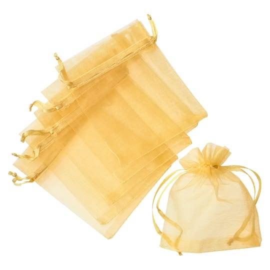 Celebrate It Occasions Organza Favor Bag, Small