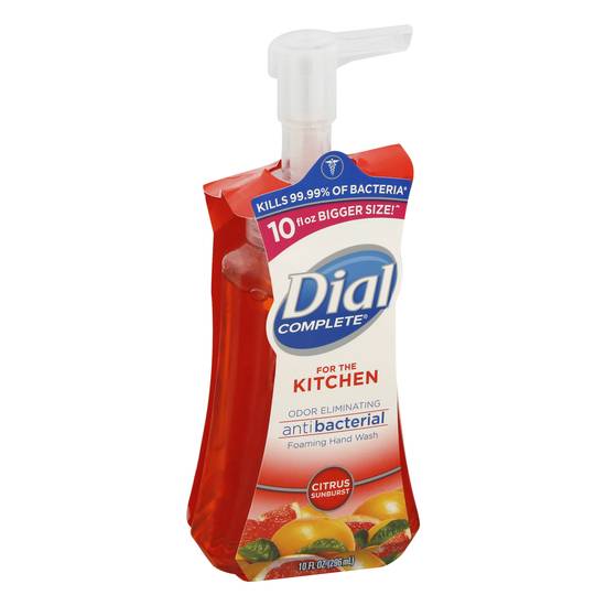 Dial Foaming Antibacterial Citrus Sunburst Hand Wash