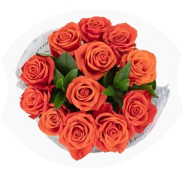 Dozen Fresh Cut Vibrant Orange Roses - Good Little Garden™