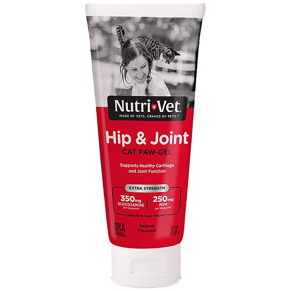 Nutri-Vet Hip & Joint Extra Strength Paw Gel, Salmon (85 g)