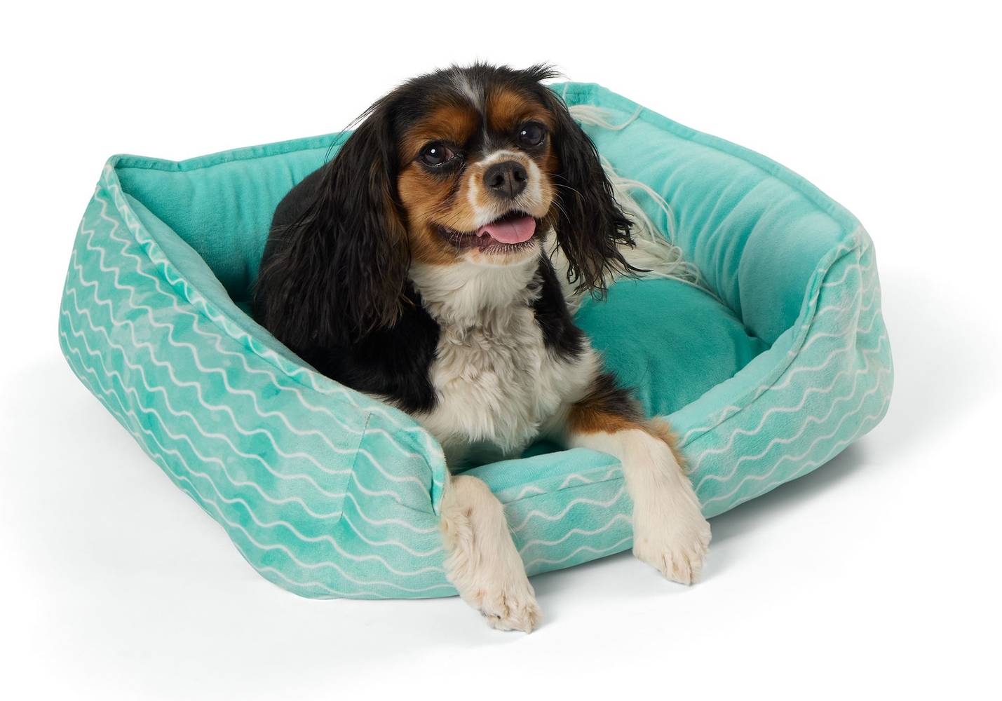 Top Paw Wave & Bone Cuddler Dog Bed, Blue