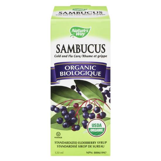 Nature's Way Sambucus Elderberry Syrup (120 ml)