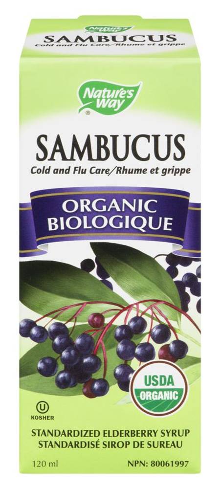 Nature's Way Sambucus Syrup, Elderberry (120 ml)