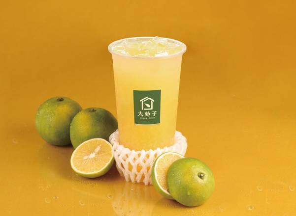 台灣鮮搾柳丁綠-大杯 Freshly Orange Green Tea-Large